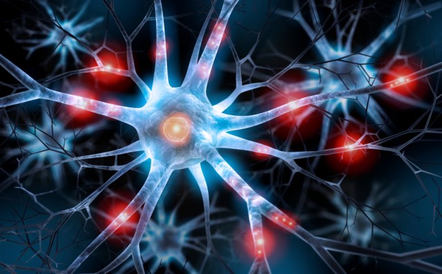 Neurobiolog tvrdi: 
